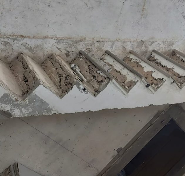 50b6f6ec-2925-4710-883e-a8a7600c8c97