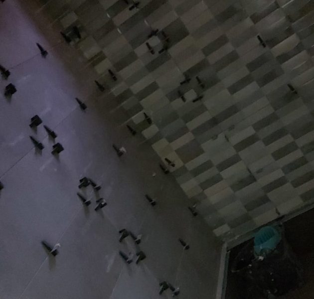 f6c0593c-126f-4c99-8afd-749d7f769d1d