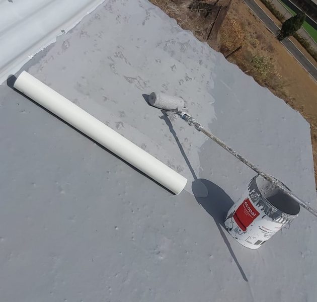 ff63e88d-571d-4292-8e05-423a9aa9527a